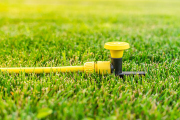 Water hose supply to a sprinkler installed in a green grass lawn