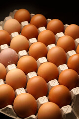 Close up of brown eggs in recycle egg tray                              