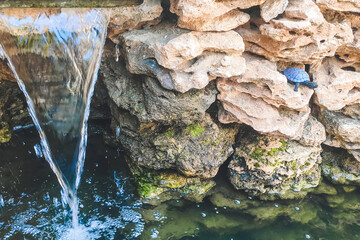 home pond with artificial waterfall and stones.