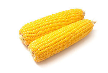 corn isolated on a white background