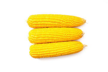 corn isolated on a white background