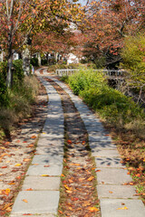 Fototapeta na wymiar 秋　京都の散歩道　哲学の道