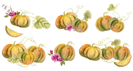 Pumpkins, leaves, flowers. Watercolor illustration. Autumn, Harvest, Halloween, Thanksgiving theme.