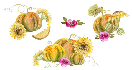 Pumpkin and sunflower. Watercolor illustration. The theme of summer, harvest, holidays Thanksgiving...