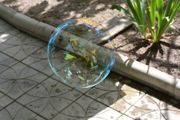 Large rainbow soap bubble above the garden path.