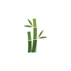 Fototapeta na wymiar Bamboo with green leaf