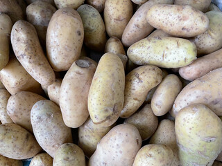 Potato fresh organic to be used as raw materials for cooking.