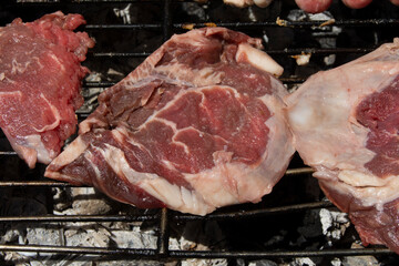 Carne para barbacoa de verano solomillos de cerdo crudos