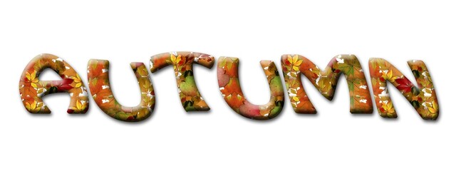 AUTUMN lettering from colorful leaves on white background - 3D Illustration