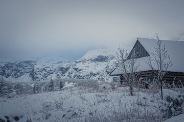 Fototapeta premium Dark December day in High Tatras, Poland. Old wooden mountain chalet in Hala Gąsienicowa Valley. Selective focus on the exterior of the building, blurred background.