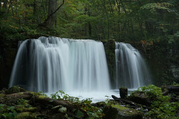 Obraz premium 滝（アップ）