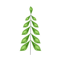 Line art composition with realistic leaves.Environmentally friendly concept respect for nature.