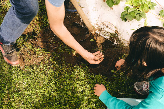 Earthworms Digging Earthworms Images – Browse 20,196 Stock Photos, Vectors, and Video ...