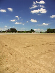 Plakat 真夏日の乾燥した畑風景