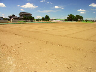真夏日の乾燥した畑風景