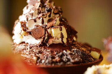 chocolate ice cream with chocolate