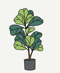 Doodle freehand sketch drawing of fiddle leaf fig tree.