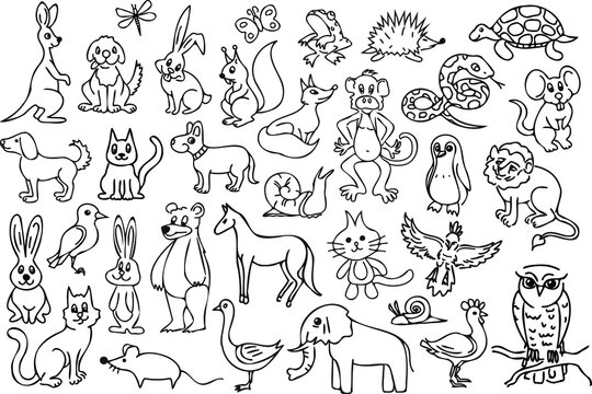 Vector outline animal illustration set. Collection of black contour cartoon characters. Black thin line animal coloring illustrations.