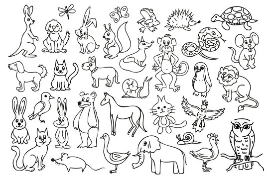 outline animal illustration set. Collection of black contour cartoon characters. Black thin line animal coloring illustrations.