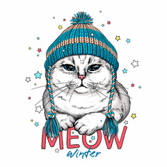 Cute scottish fold cat in a winter hat. Stylish image for printing on any surface	