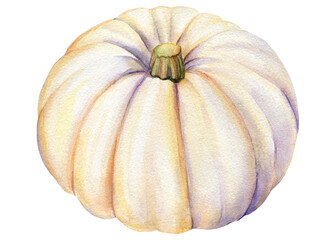 Set of pumpkins on isolated white background, Autumn harvest, watercolor illustration