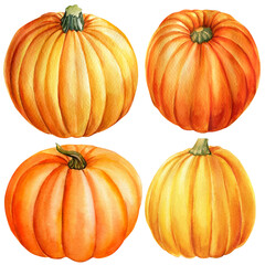 Set of orange pumpkins isolated on a white background., watercolor illustration