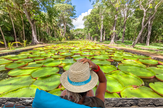 Femme au jardin des Pamplemousses, &icirc;le Maurice 
