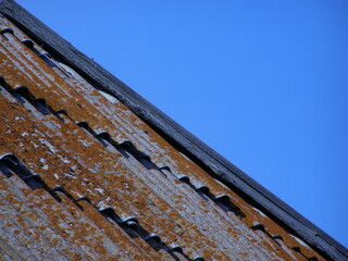 Оld roof covered with lichen