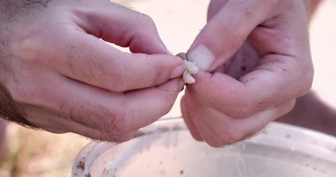 Fisherman puts the bait on hook to fish. Mans hand holding maggot on fish hook. Fishing outdoors. Hobby in nature. Scene of  fishing with tackle, close-up