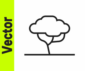 Black line African tree icon isolated on white background. Baobab, acacia and other. Vector