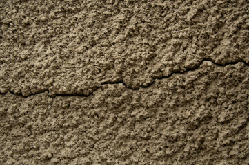 Horizontal crack in a green uneven wall