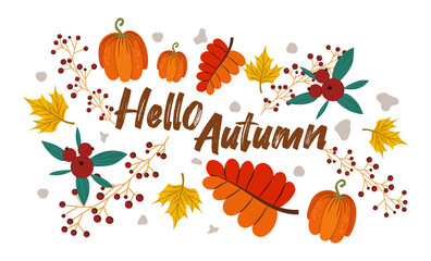 Hello autumn with maple leaves, pumpkins, cranberries. Decorated with colorful leaves, vegetables. Vector illustration for postcards and invitations. Autumn festival of harvest and leaf fall