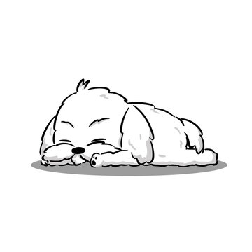 Cute Maltese White Puppy Sleeping, Lay down Cartoon Vector