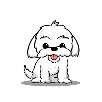 Cute Maltese White Puppy Cartoon Vector, for design, banner, logo