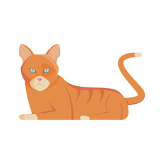 Flat Cat Illustration