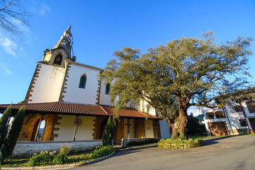 Church of San Esteban de Galdames with the centenary holm oak next to it