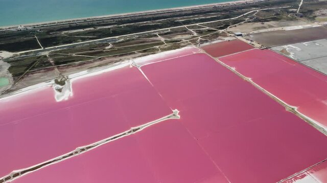 Flying over the pink colored lagoons of salt fields. Picturesque drone point of view of the colorful salt lakes on a sunny summer day. Dunaliella salina. Aerial panoramic wide shot at summer sunny day