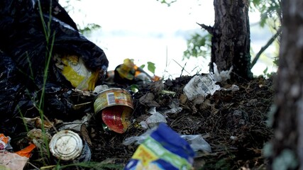 Plastic bottles under the trees. Lot of plastic waste and rubbish in the forest from tourists. Waste for recycling. Cleaning forests and islands from waste. Environmental protection.