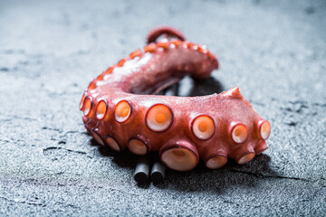 Octopus wrapped in a chopstick. Cooked purple octopus © shaiith