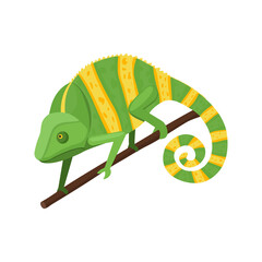 Isometric Chameleon Illustration