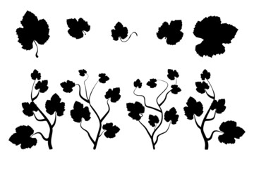 Wine leaves and branches silhouettes set isolated on white background. Grape plant shape collection. Spring or nature plant design. Floral pattern. Stock vector illustration