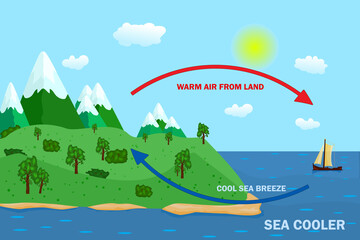 Science poster design for sea and land breeze. Thermal warm and cold air circulation diagram. Diagram showing circulation thermal and cool wind. Stock vector illustration