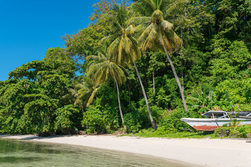 Fototapeta premium The white sandy beach of the Togian Island Batudaka in the Gulf of Tomini in Sulawesi. The Islands are a paradise for divers and snorkelers and offers an incredible diversity of species