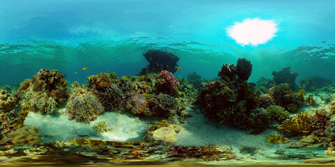 Fototapeta premium Tropical coral reef. Scene reef. Marine life sea world. Underwater fish reef marine. Philippines. Virtual Reality 360.