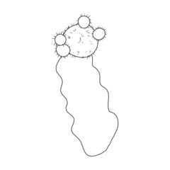 Cactus vector icon.Outline vector icon isolated on white background cactus .