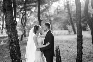 Fototapeta na wymiar walk of the bride and groom through the autumn forest