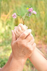Grandmother and granddaughter hands holding bouquet of wildflowers, close up, love concept