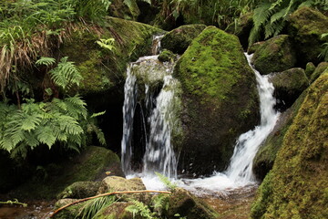 Fototapeta na wymiar Die Gertelsbacher Wasserfälle im Naturpark Nordschwarzwald sind zur Erholung gut geeignet.