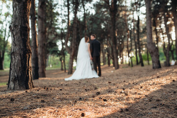 walk of the bride and groom through the autumn forest