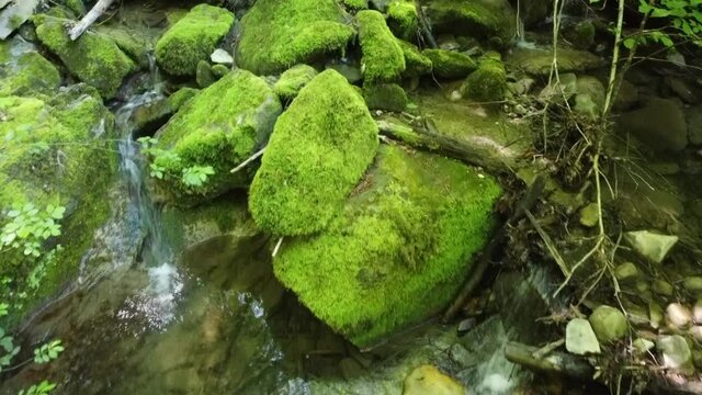 Torrente Scarzola, Monte S. Maria Tiberina, PG